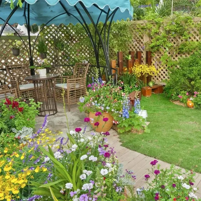 Varieties of Flower Seeds (Pack of 100)