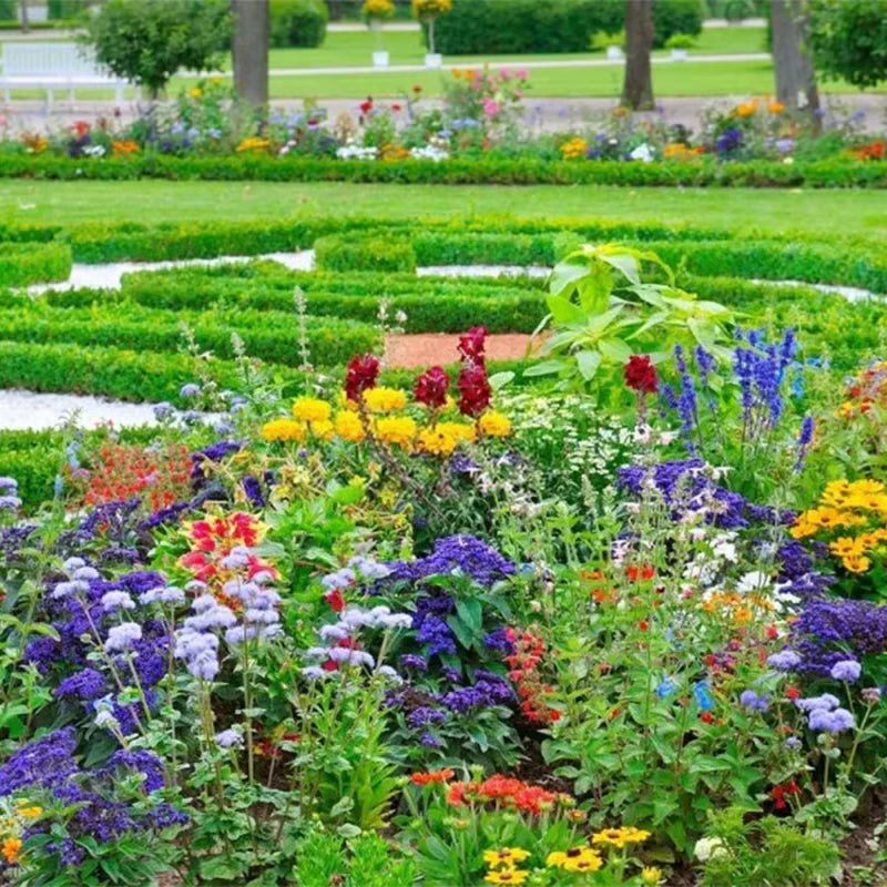 Varieties of Flower Seeds (Pack of 100)
